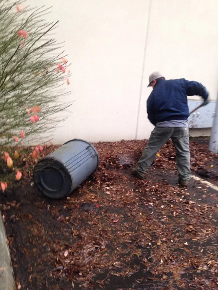 Top-rated yard maintenance experts serving Sumner, WA - Greg Landscaping