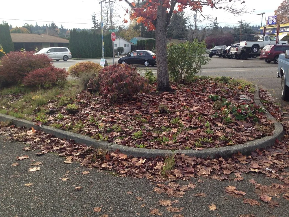 Professional landscape installation with custom design across Sumner, WA - Greg Landscaping