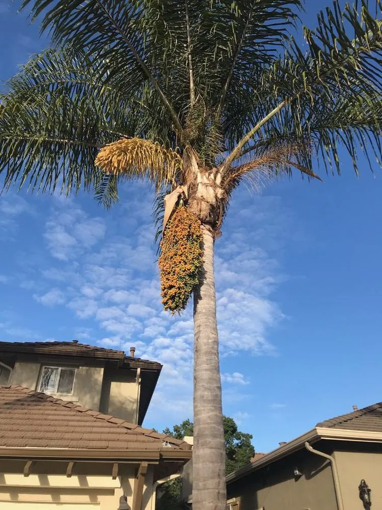 Trusted landscape design in Hollister, CA by Gregg's Complete Gardening & Landscape