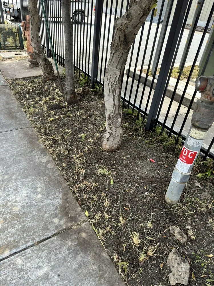 Affordable yard maintenance with custom design in Hollister, CA by Gregg's Complete Gardening & Landscape