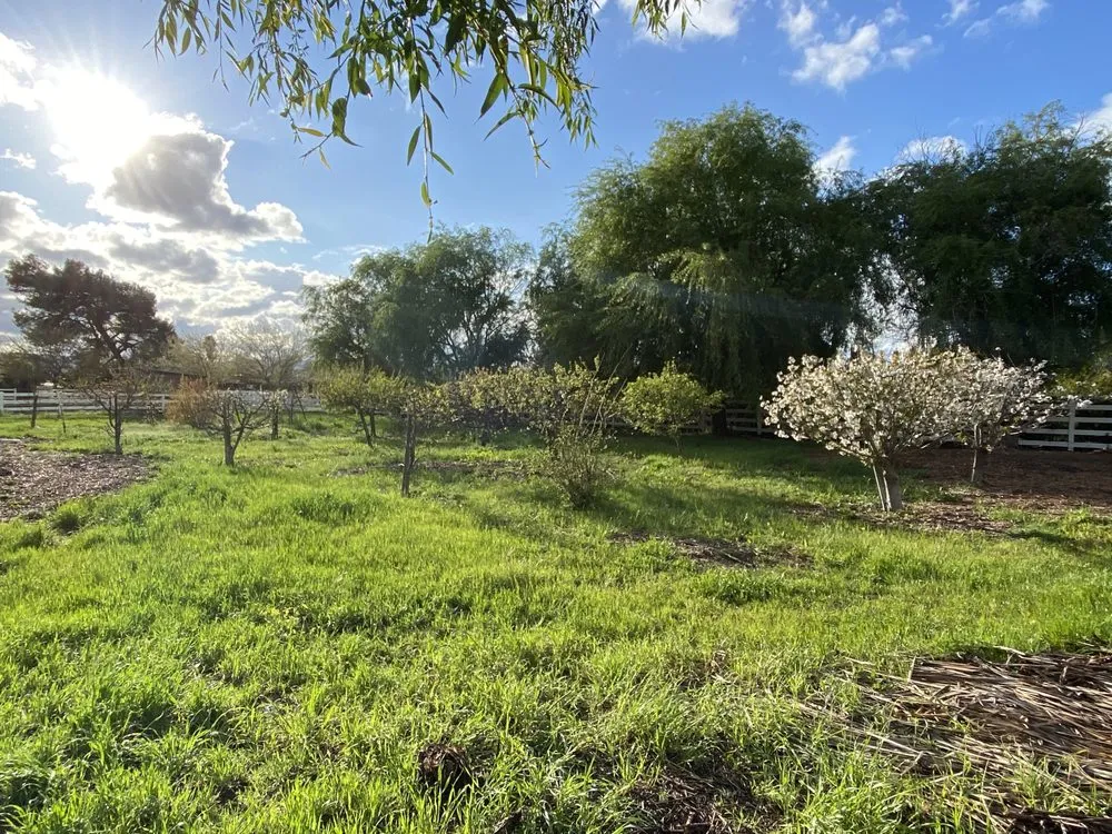 Local yard cleanup service for beautiful yards across Hollister, CA - Gregg's Complete Gardening & Landscape