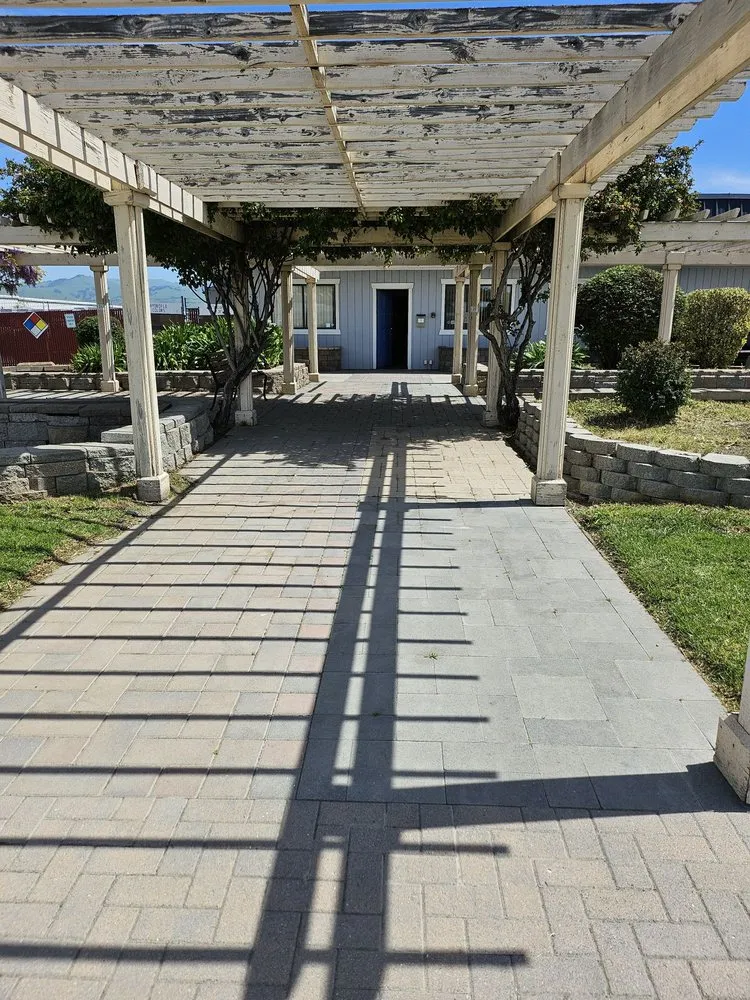 Expert lawn mowing service experts serving Hollister, CA - Gregg's Complete Gardening & Landscape