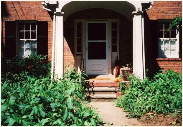 Trusted lawn care service experts serving Henrico, VA - Gregg's Gardens