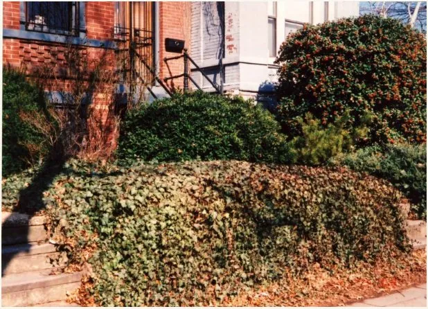 Affordable lawn mowing service in Henrico, VA - Gregg's Gardens