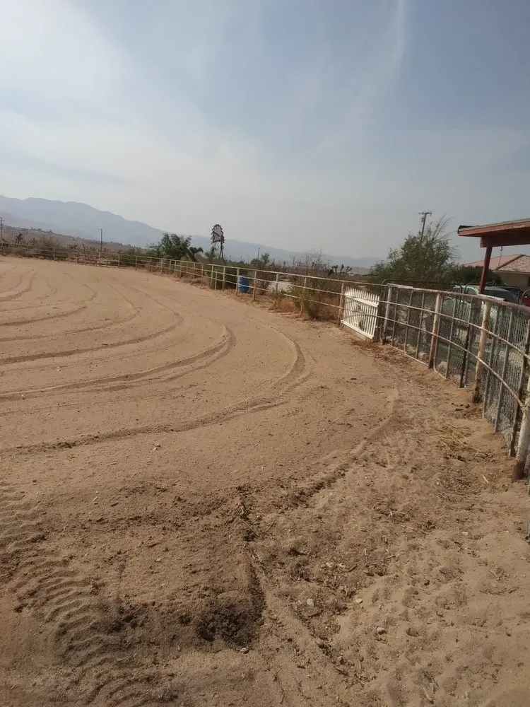 Local yard cleanup service for residential properties in Hesperia, CA by Greggs Grading And Yard Services