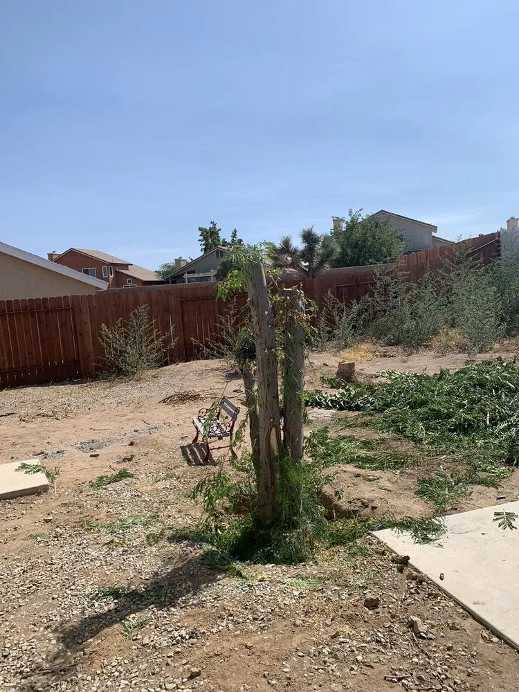 Affordable lawn care service in Hesperia, CA - Greggs Grading And Yard Services