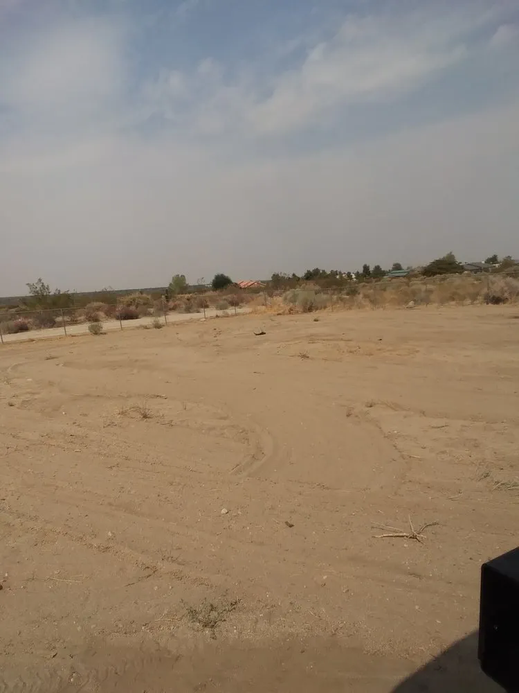 Top-rated yard cleanup service for residential properties in Hesperia, CA by Greggs Grading And Yard Services