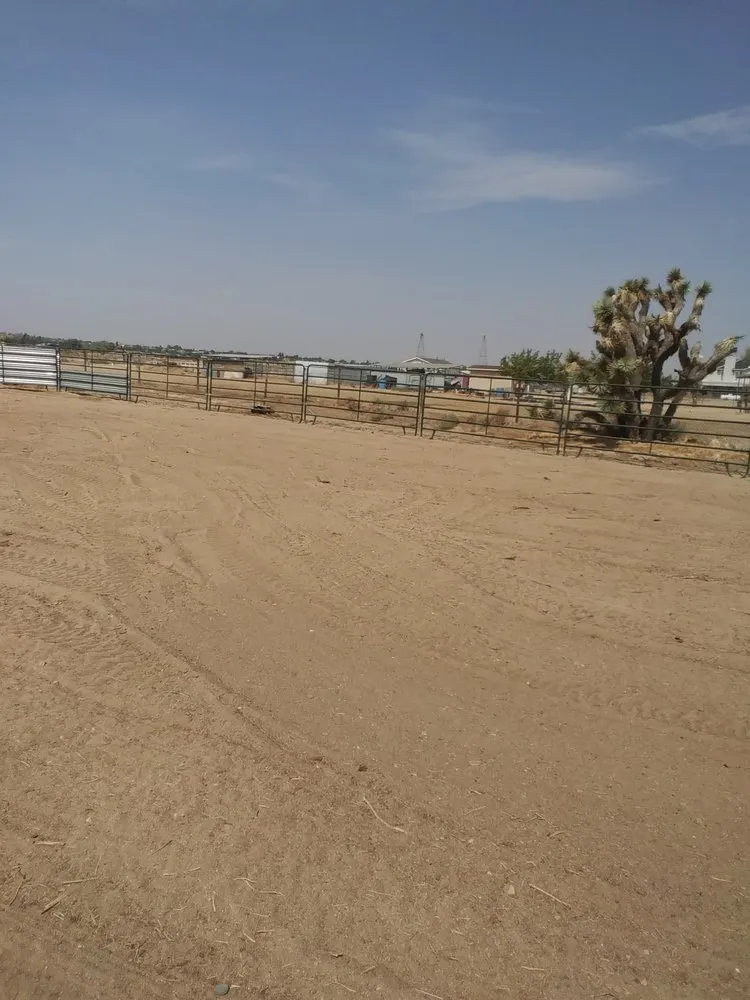 Trusted garden landscaping in Hesperia, CA - Greggs Grading And Yard Services