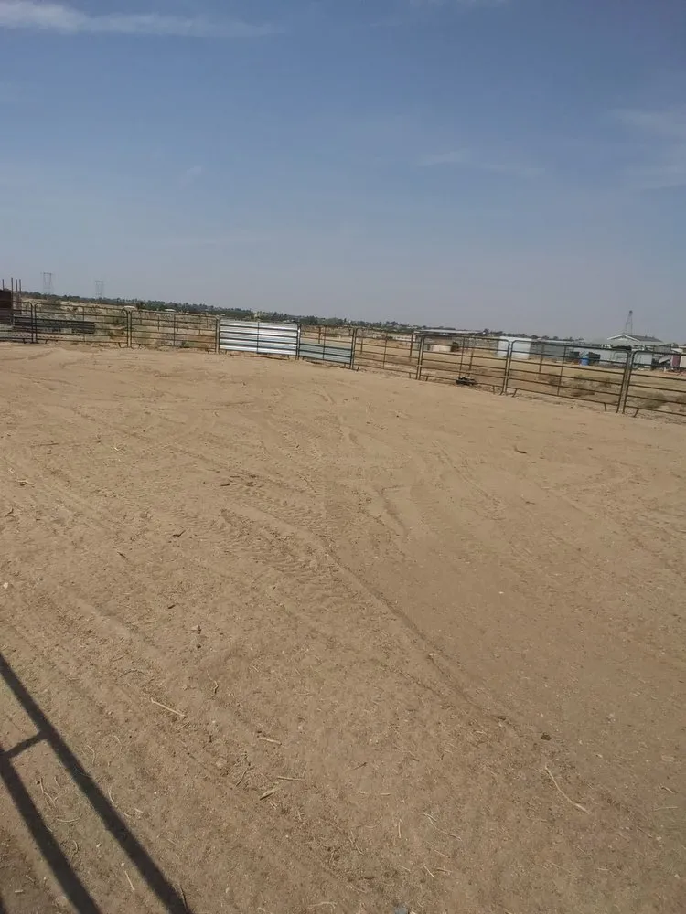 Reliable yard cleanup service experts serving Hesperia, CA - Greggs Grading And Yard Services