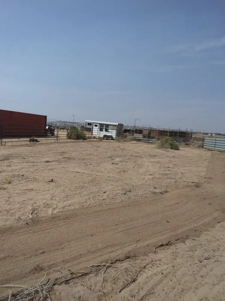 Reliable yard maintenance for beautiful yards across Hesperia, CA - Greggs Grading And Yard Services