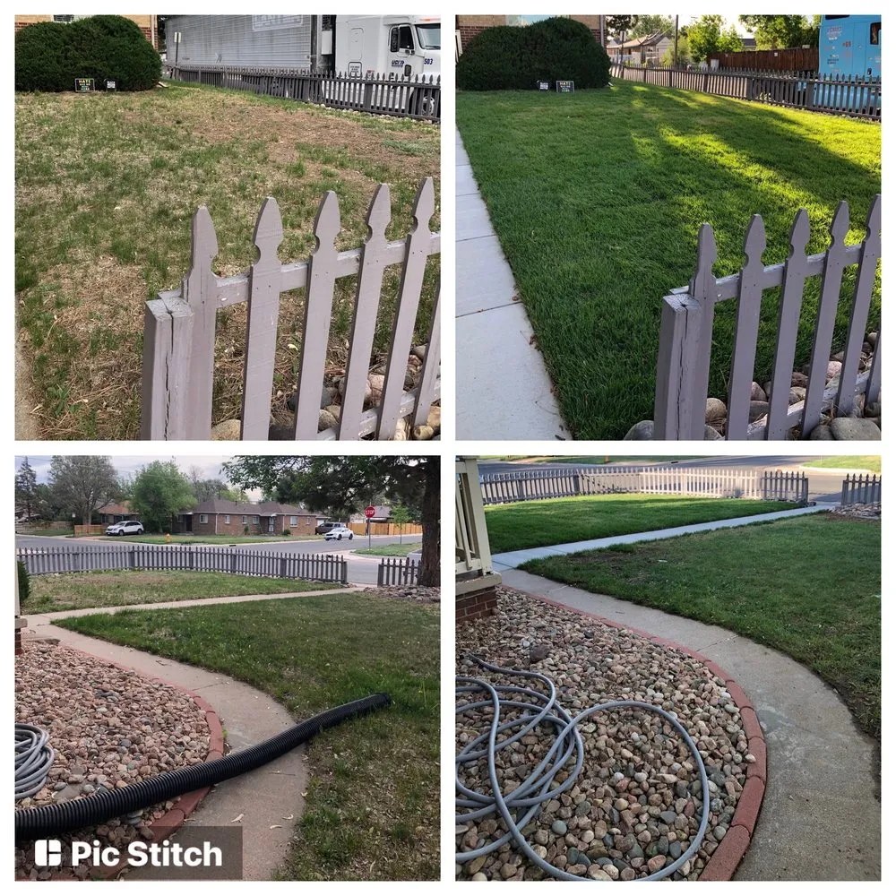Local lawn care service in Denver, CO by Gregorio Arevalo Landscaping
