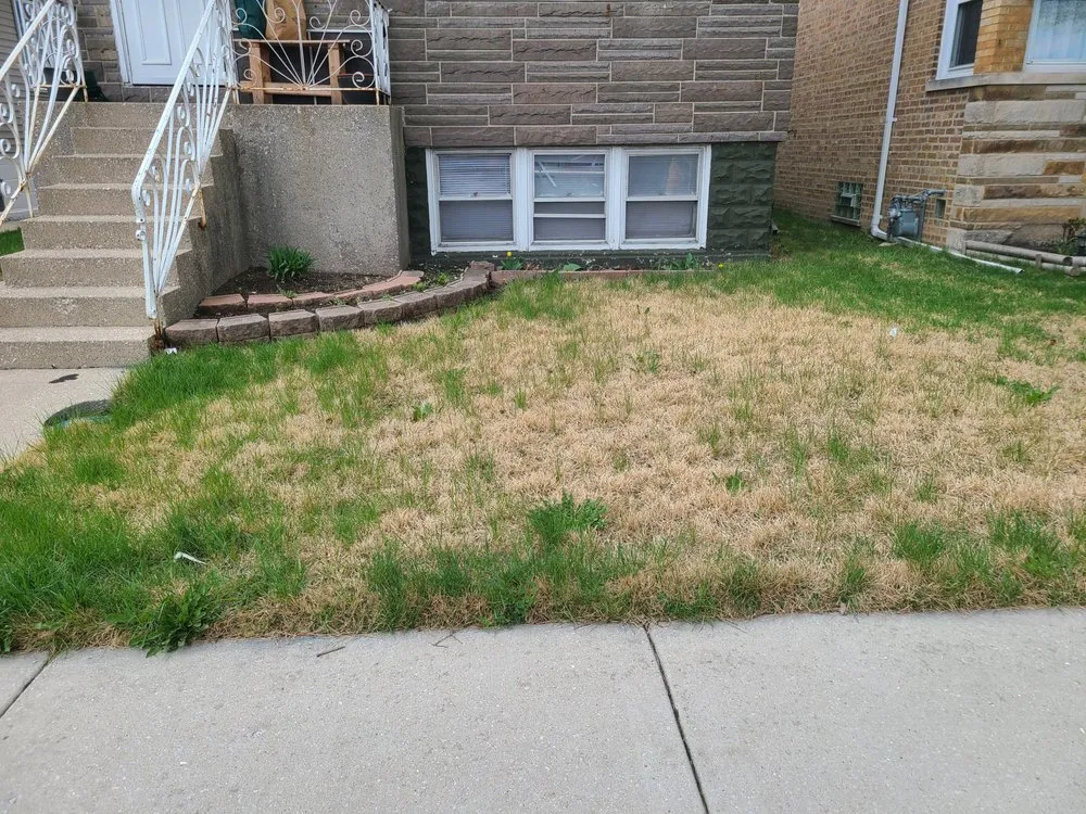 Affordable landscaping services in Streamwood, IL by Gregorios Enterprises