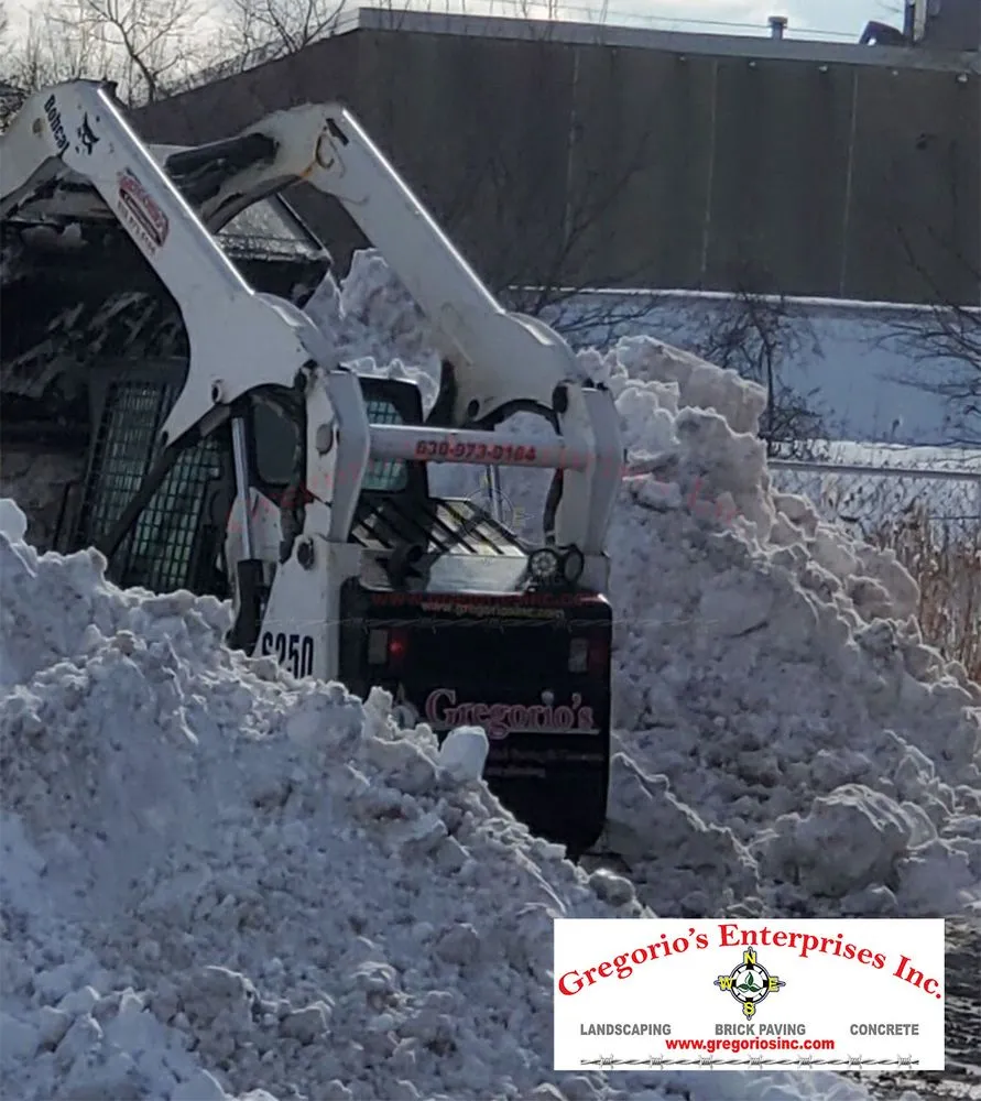 Affordable yard cleanup service in Streamwood, IL - Gregorios Enterprises