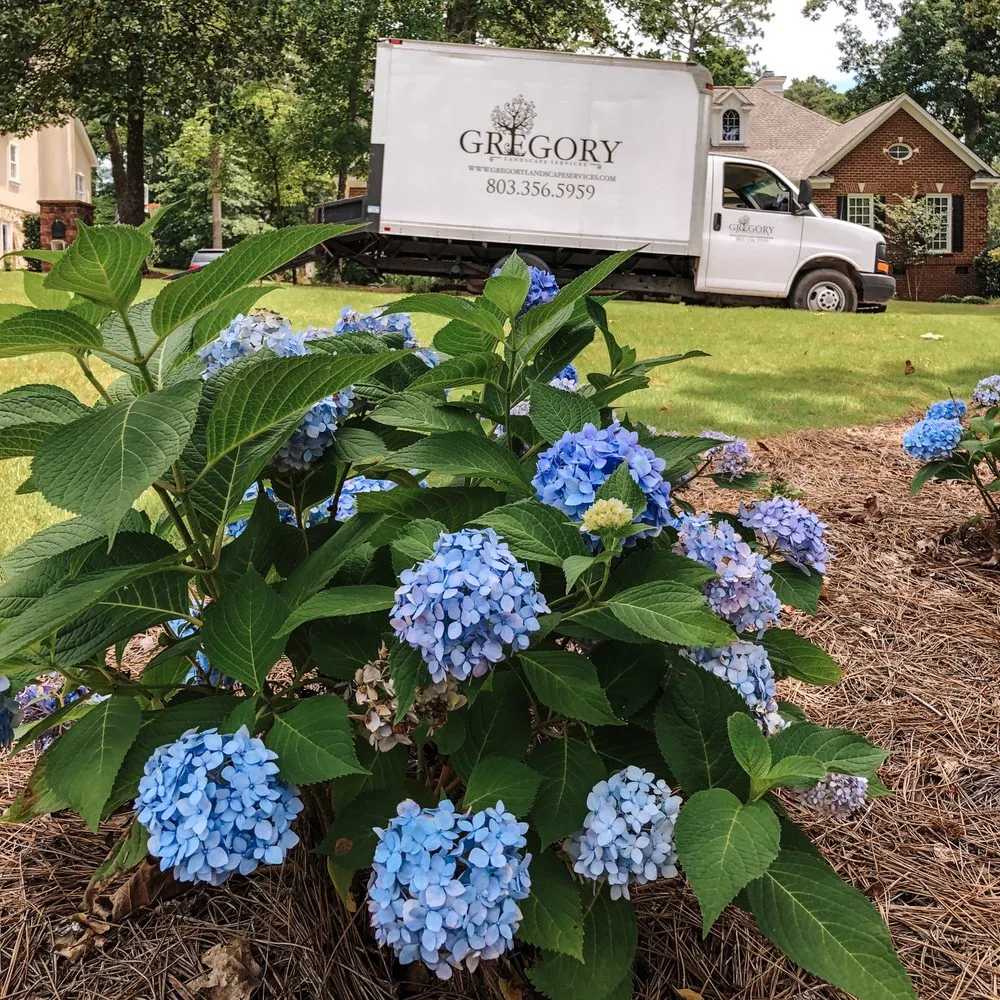 Affordable residential landscaping for residential properties across Lexington, SC - Gregory Landscape Services