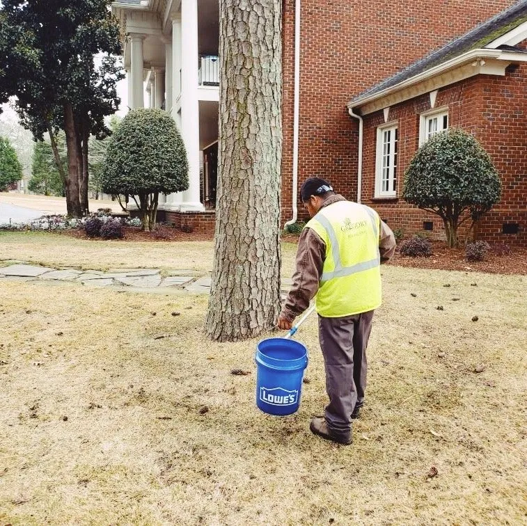 Top-rated landscape installation with custom design in Lexington, SC by Gregory Landscape Services