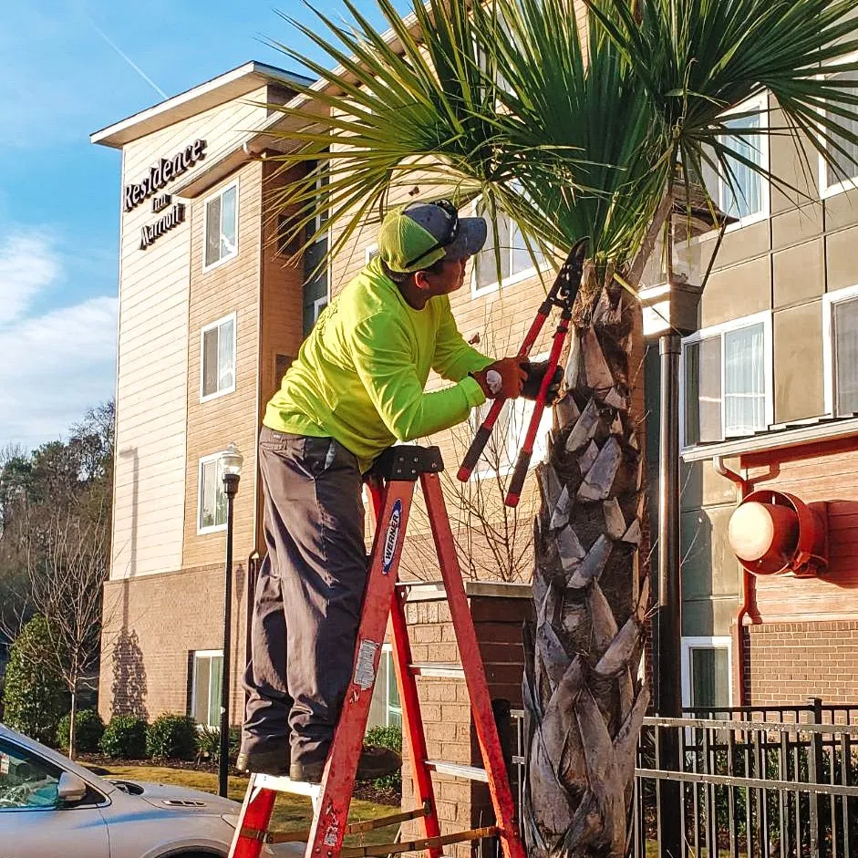 Local lawn mowing service for beautiful yards across Lexington, SC - Gregory Landscape Services