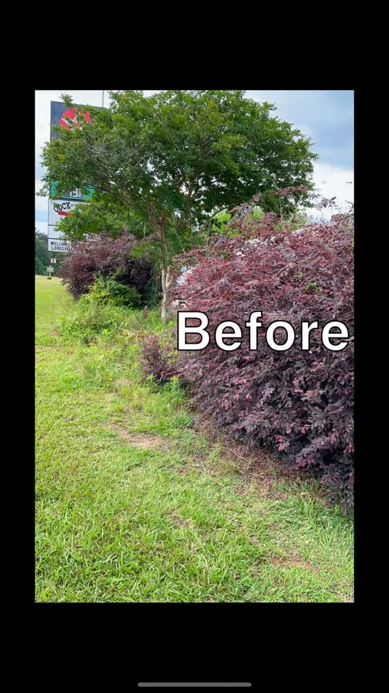 Professional landscaping services for beautiful yards across Starkville, MS - Gregory Lawn and Landscape