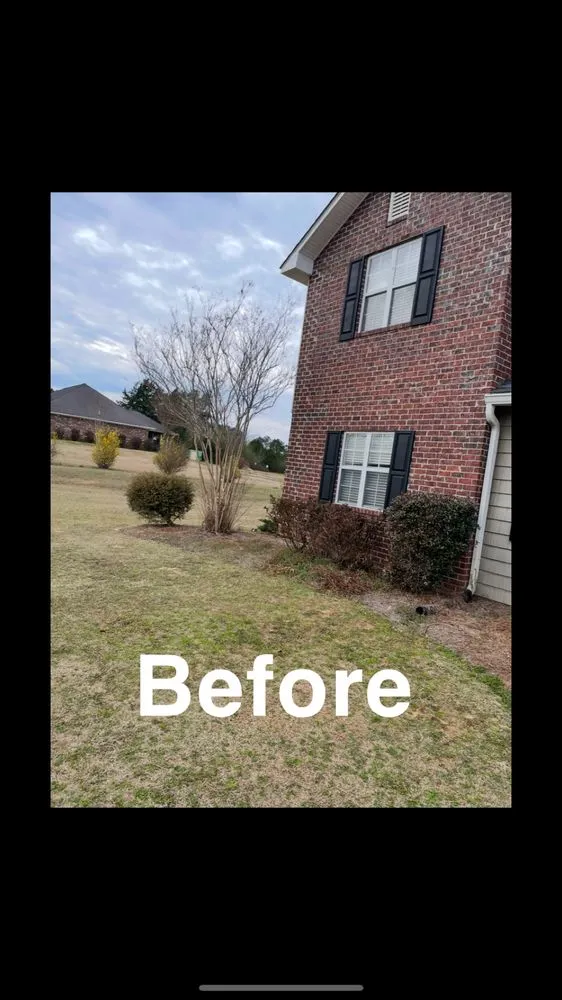 Expert yard cleanup service experts serving Starkville, MS - Gregory Lawn and Landscape