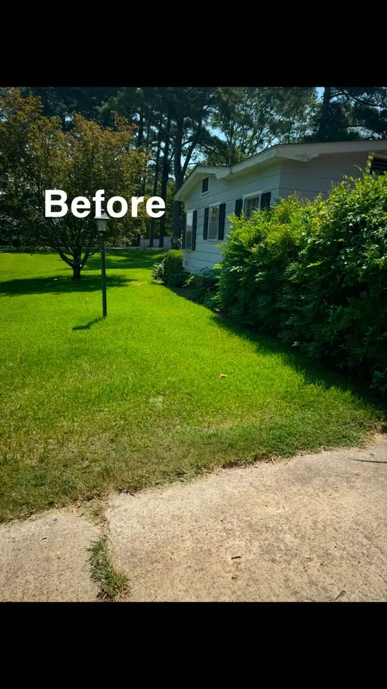 Professional garden landscaping in Starkville, MS - Gregory Lawn and Landscape