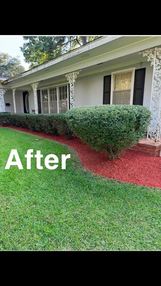 Top-rated lawn mowing service in Starkville, MS by Gregory Lawn and Landscape