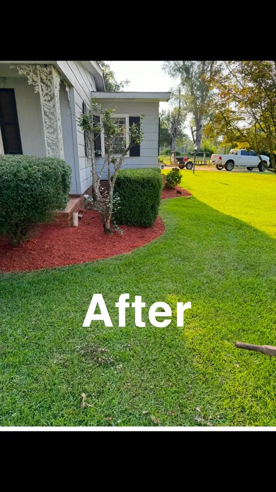Affordable outdoor landscaping for residential properties in Starkville, MS by Gregory Lawn and Landscape