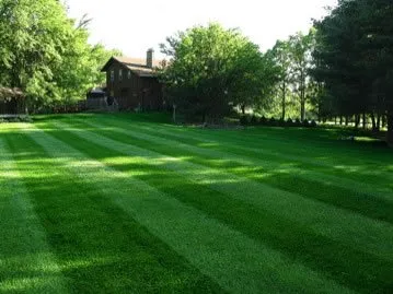 Trusted landscape installation for year-round maintenance across Charlotte, NC - Gregory Lawn Care Service