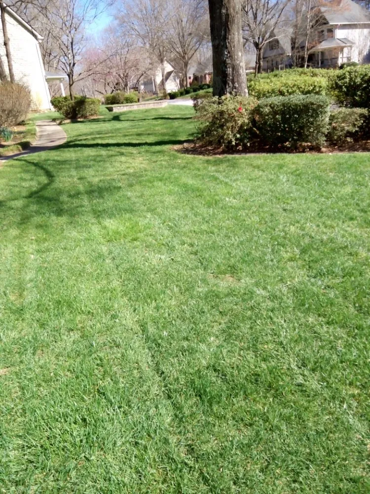 Affordable residential landscaping for beautiful yards across Simpsonville, SC - Gregory's Affordable lawn Care and More