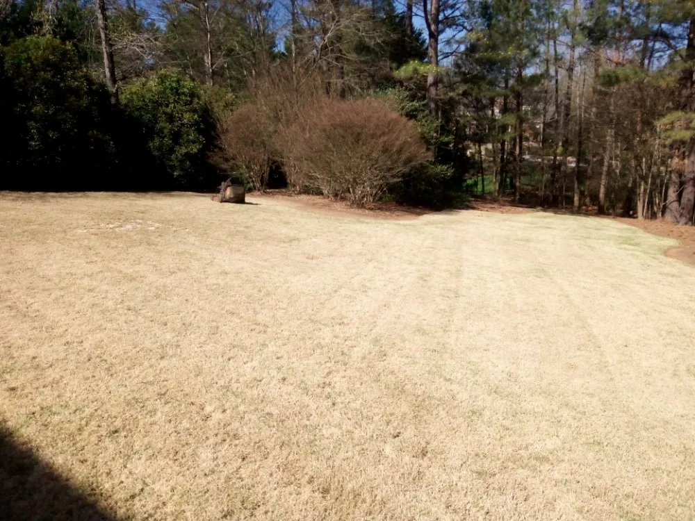 Reliable yard cleanup service with custom design across Simpsonville, SC - Gregory's Affordable lawn Care and More