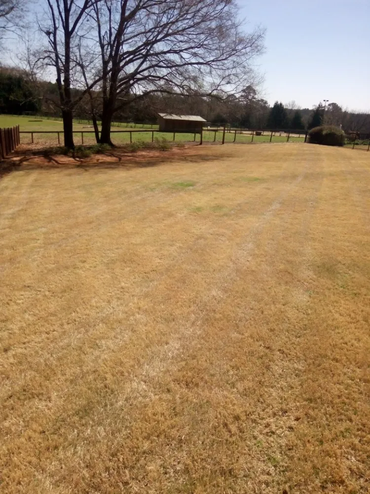 Affordable residential landscaping in Simpsonville, SC - Gregory's Affordable lawn Care and More