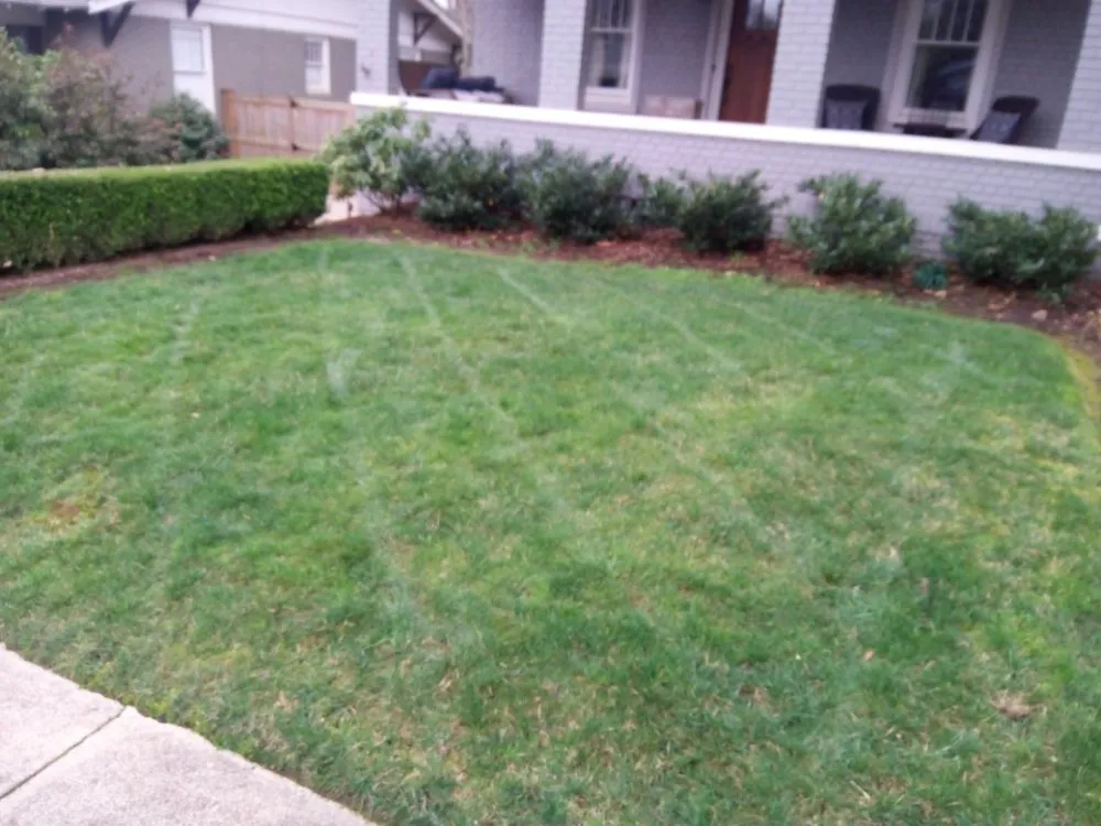 Affordable landscape installation for outdoor upgrades in Simpsonville, SC by Gregory's Affordable lawn Care and More