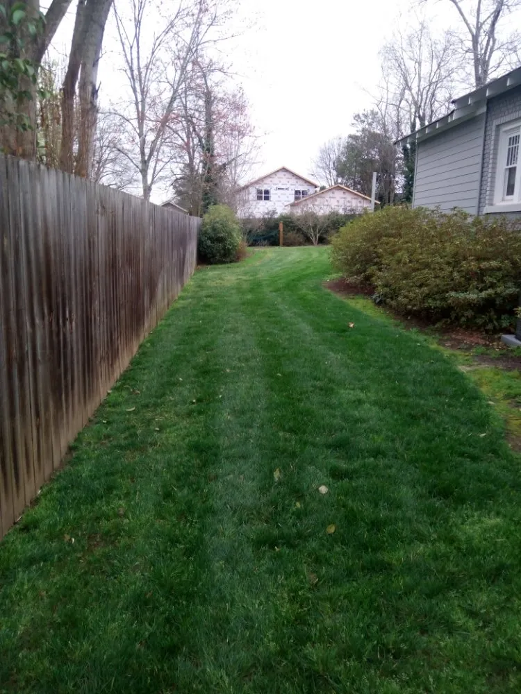 Trusted yard cleanup service in Simpsonville, SC by Gregory's Affordable lawn Care and More