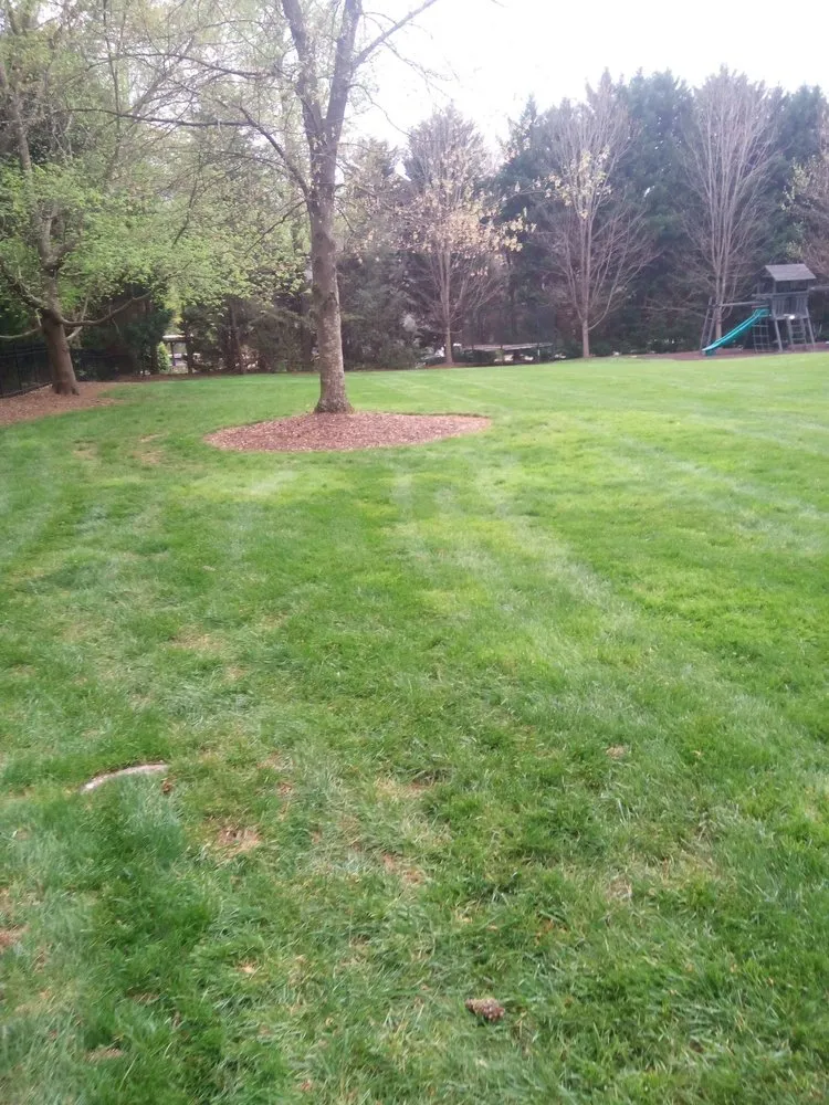 Affordable lawn care service for homes across Simpsonville, SC - Gregory's Affordable lawn Care and More