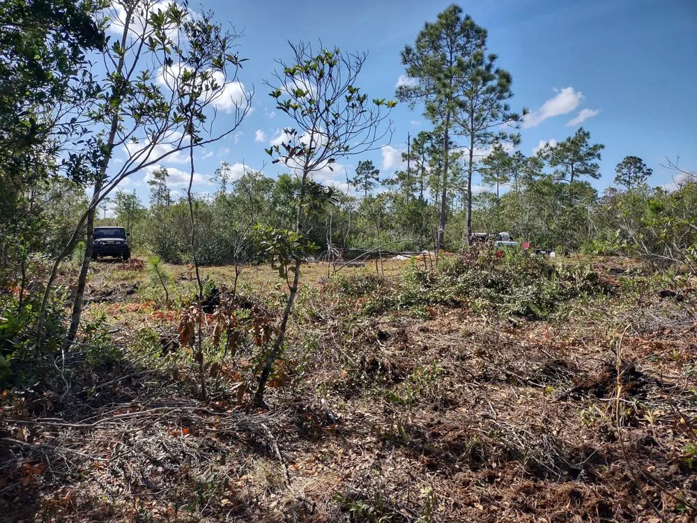 Custom outdoor landscaping in Cocoa, FL - Gregory's Lawn Service