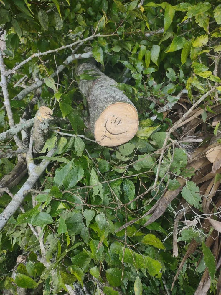 Top-rated landscaping services experts serving Cocoa, FL - Gregory's Lawn Service