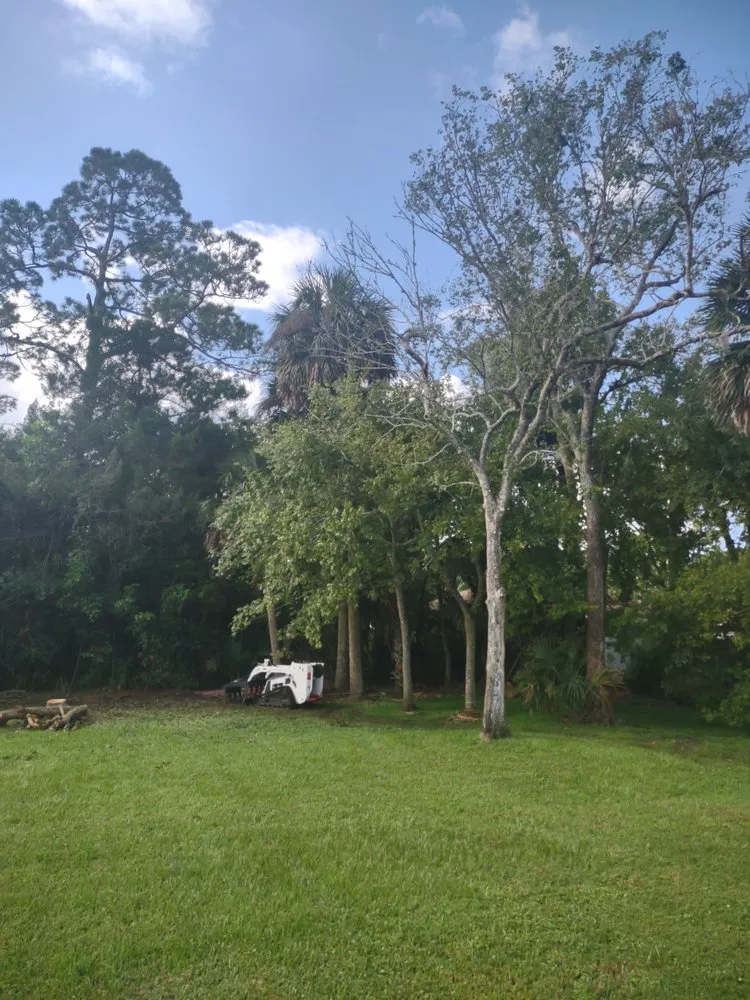 Reliable landscaping services in Cocoa, FL by Gregory's Lawn Service