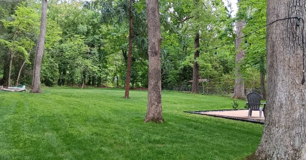 Custom lawn care service for year-round maintenance in Kenbridge, VA by Gregory's Lawn Service
