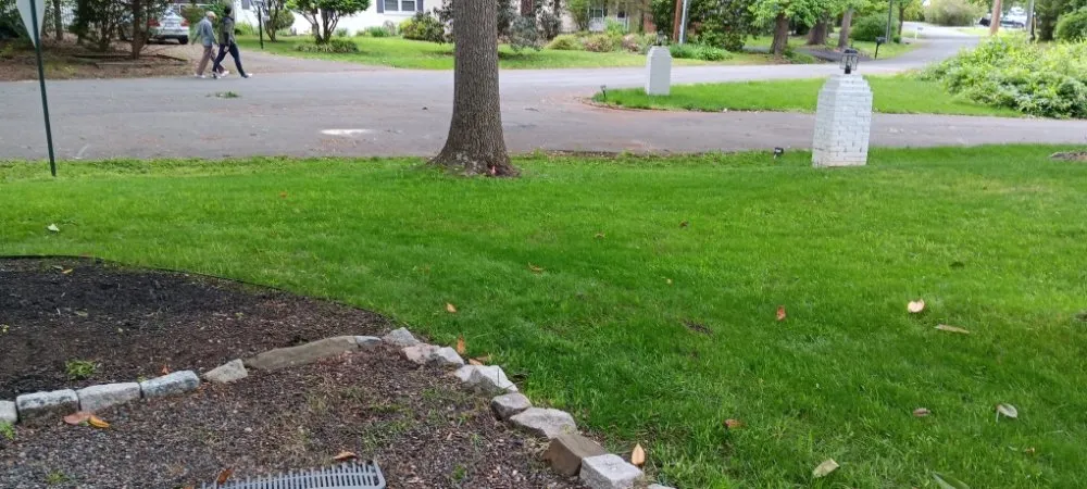 Professional yard cleanup service experts serving Kenbridge, VA - Gregory's Lawn Service