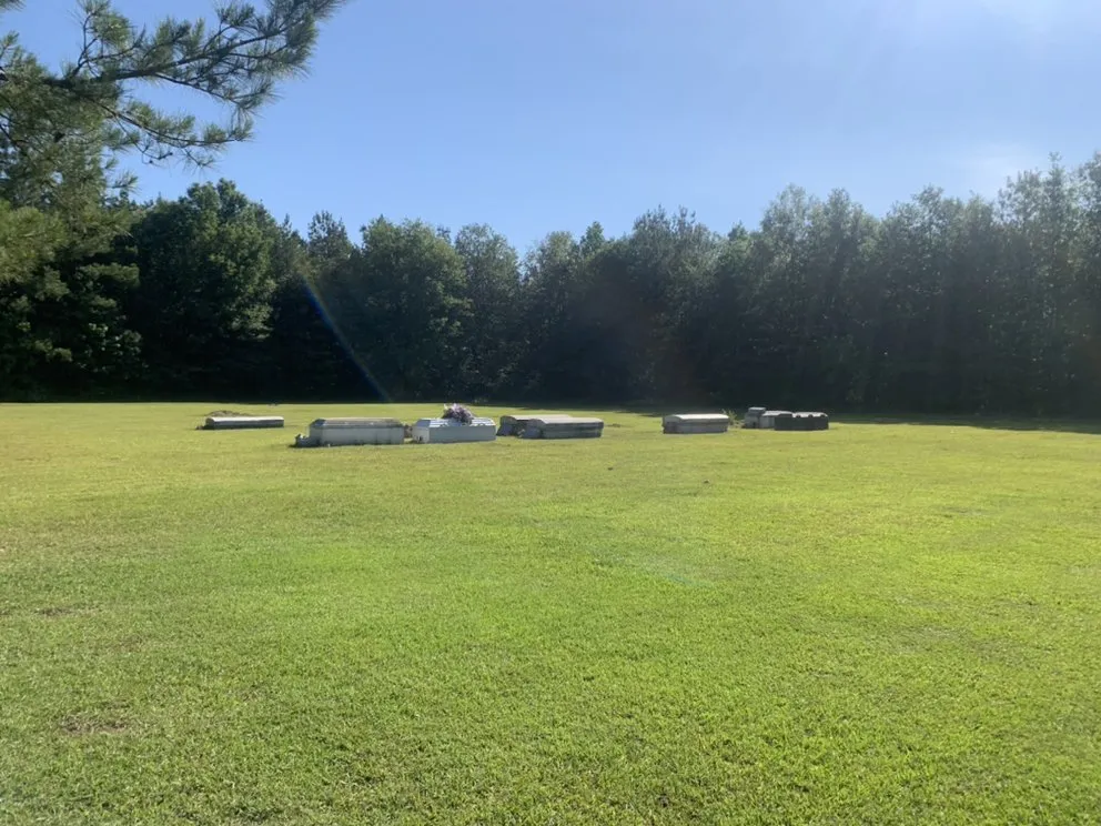 Reliable landscape installation in Montpelier, LA - Gregory’s Lawncare