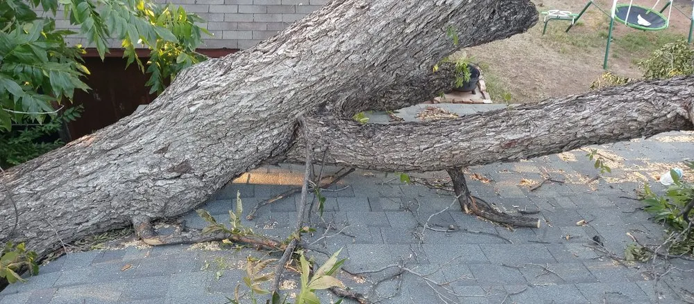 Professional lawn care service in Wichita Falls, TX by Gregs Custom Services