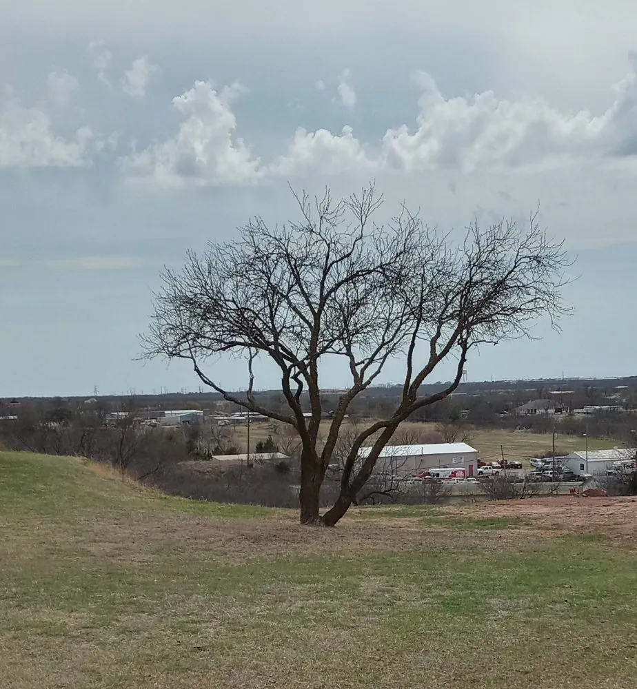 Trusted landscape design experts serving Wichita Falls, TX - Gregs Custom Services