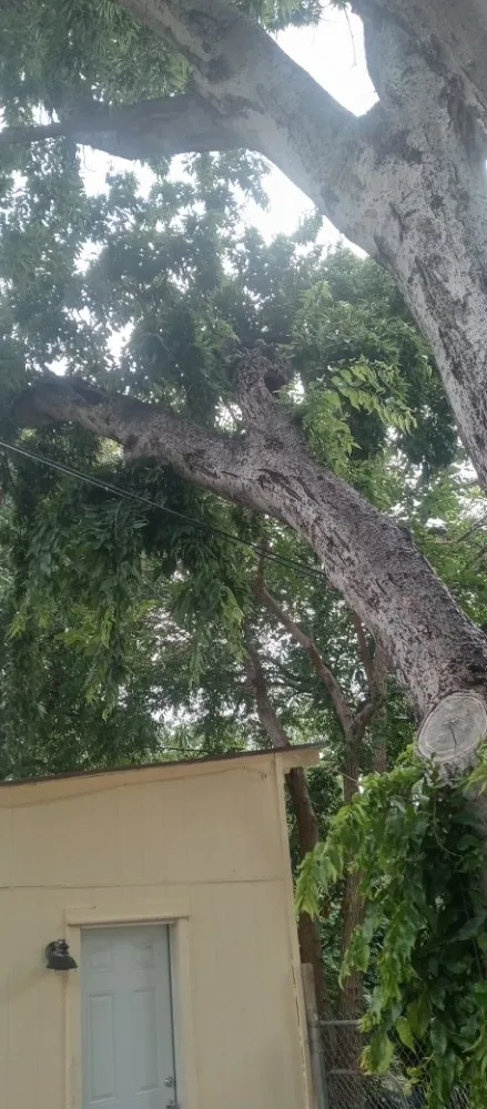 Expert outdoor landscaping near you in Wichita Falls, TX by Gregs Custom Services