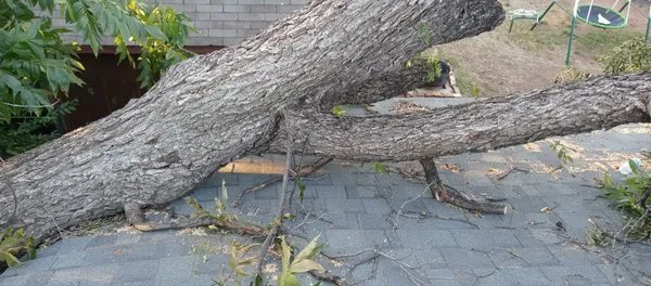 Gregs Custom Services Logo