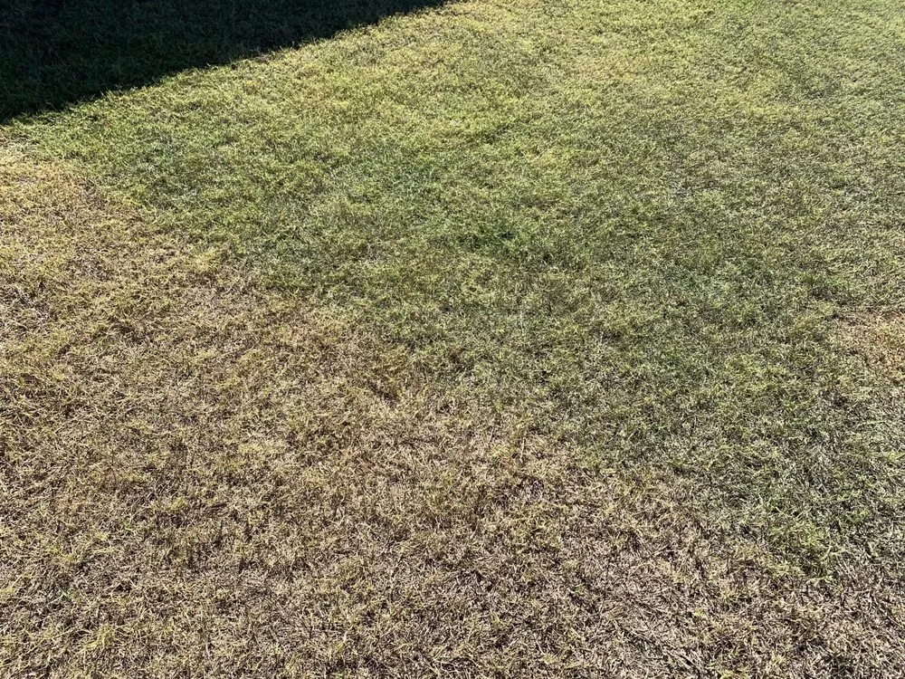 Trusted lawn care service in Smiths Station, AL - Gregs Green Grass