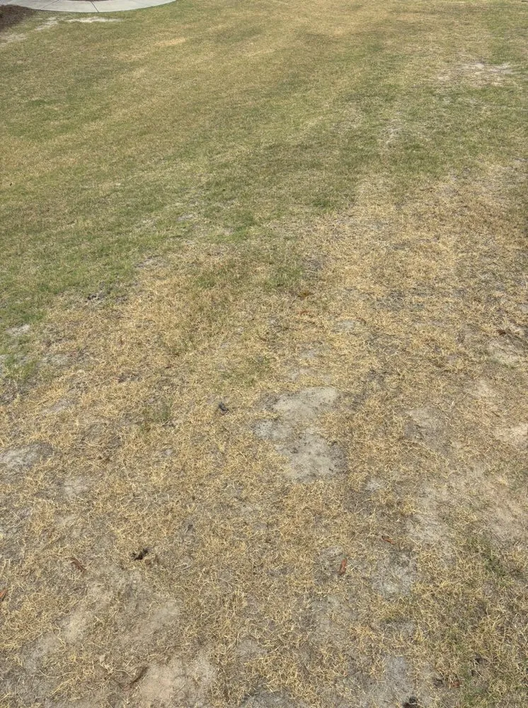 Trusted landscape design for residential properties across Smiths Station, AL - Gregs Green Grass