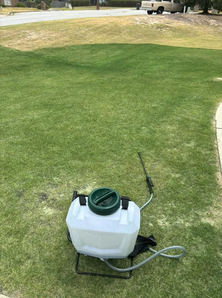 Professional landscape installation for homes in Smiths Station, AL by Gregs Green Grass