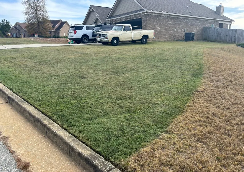 Trusted outdoor landscaping in Smiths Station, AL by Gregs Green Grass
