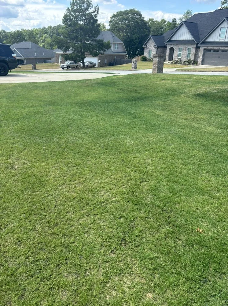 Reliable residential landscaping for homes across Smiths Station, AL - Gregs Green Grass
