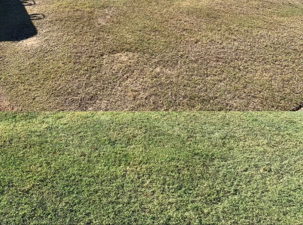 Affordable garden landscaping experts serving Smiths Station, AL - Gregs Green Grass