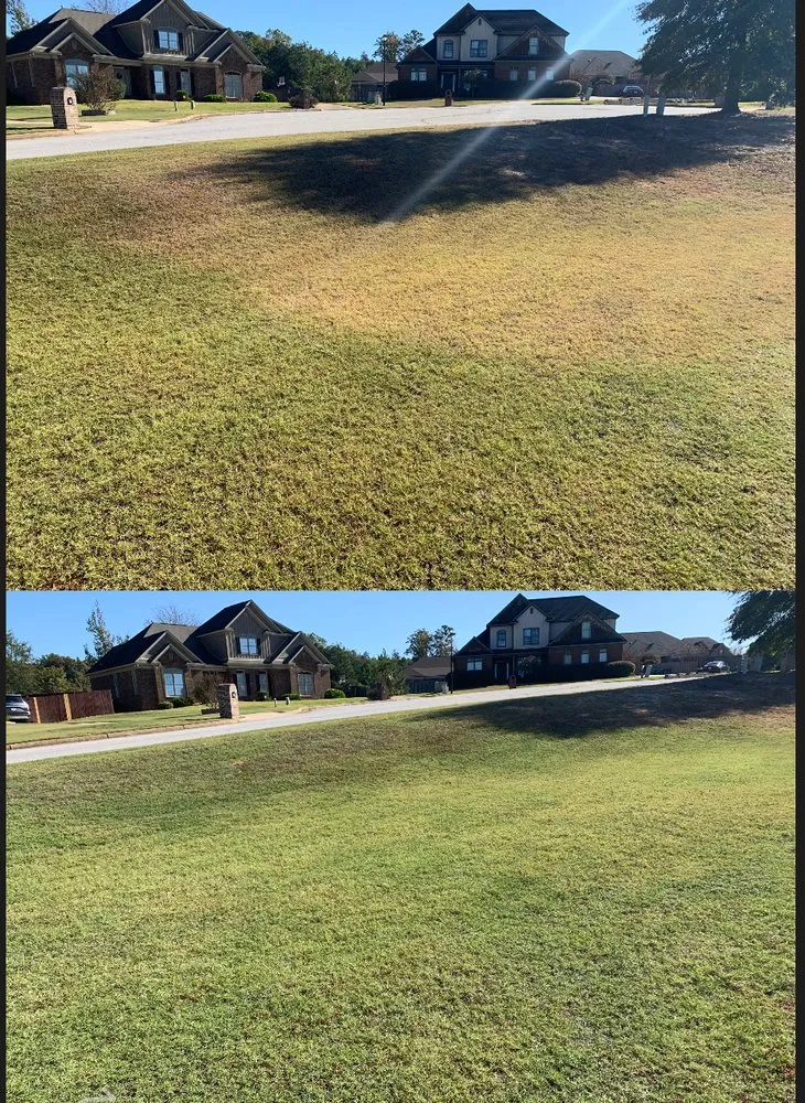 Custom lawn care service in Smiths Station, AL - Gregs Green Grass