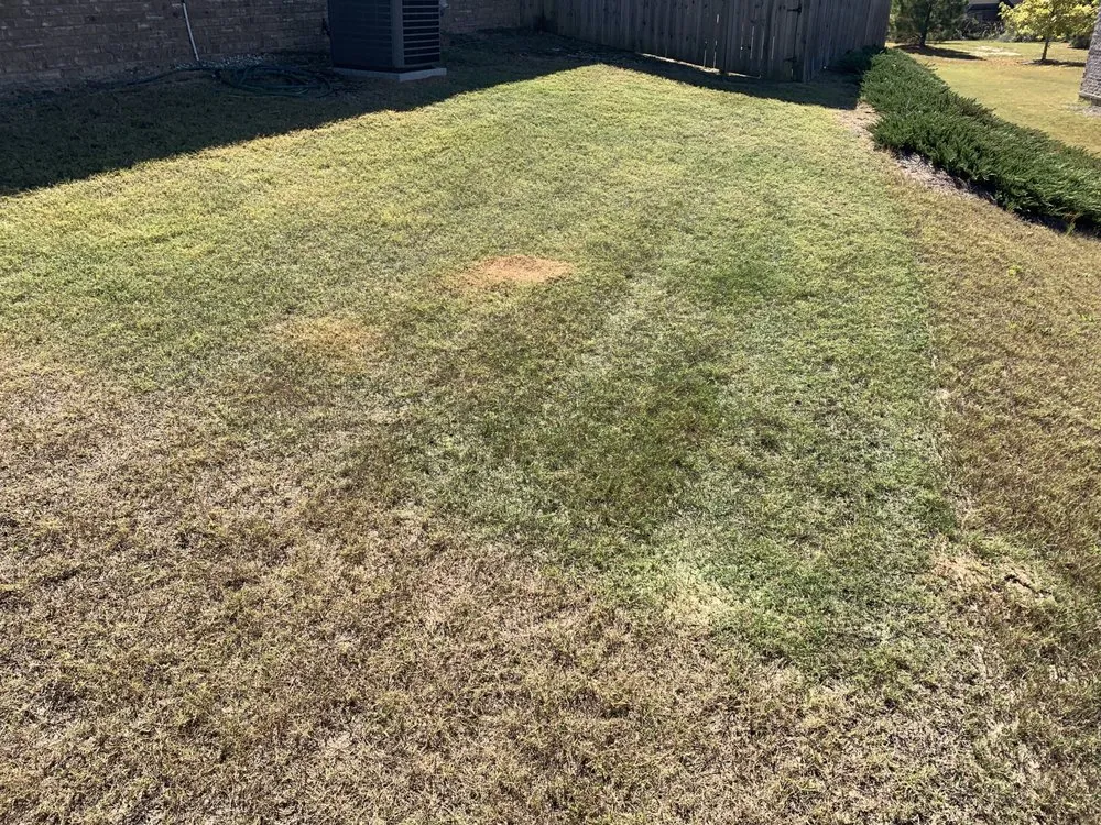 Trusted yard cleanup service in Smiths Station, AL by Gregs Green Grass